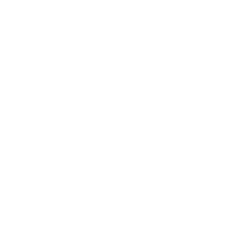 Ikona servis a poradenství AIGER